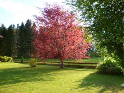 Villa Am Bach Unterwössen Exteriér fotografie